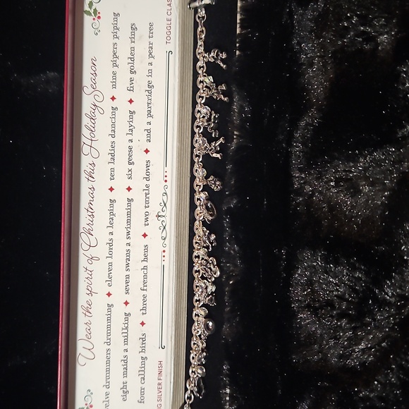 12 DAYS OF CHRISTMAS Charm Bracelet- Sterling Silver Finish - Toggle Clasp - Picture 3 of 9